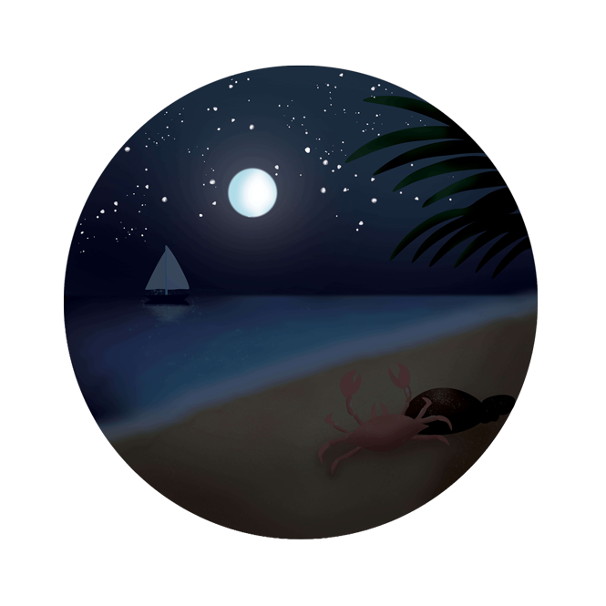 nightcrab